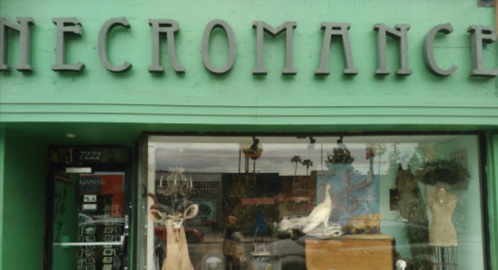 This Oddity Shop Might Just Be The Most Macabre Spot In All Of Southern California