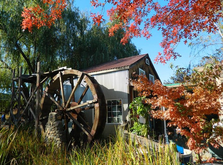 The Dreamiest Bed And Breakfast In Northern California Is Hiding Away In A Citrus Orchard