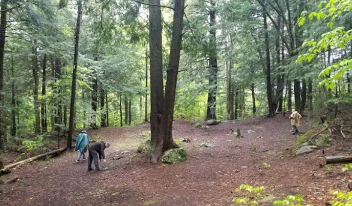 Hike This Ancient Forest In Vermont That’s Home To 400-Year-Old Trees