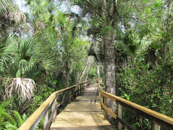 The Largest State Park In Florida Is Also Home To A Beautiful Boardwalk Trail