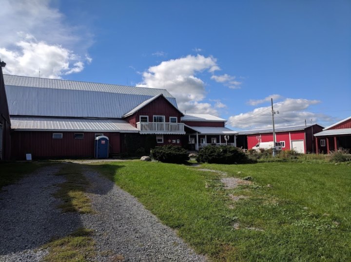 You'll Have Loads Of Fun At This Dairy Farm Near Buffalo With Incredible Cheese