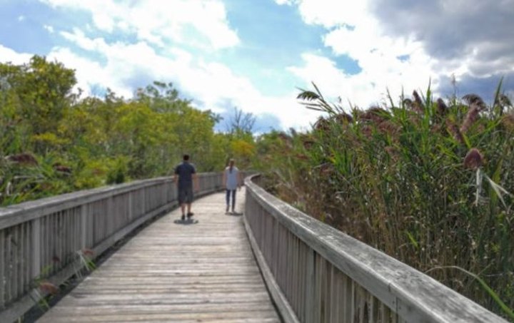 Kick Off Spring In Rhode Island With These 10 Scenic Hikes Under One Mile