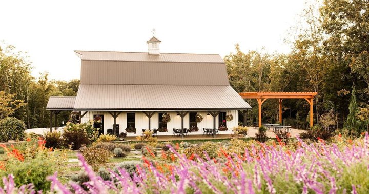 The Dreamy Lavender Farm In Missouri You'll Want To Visit This Spring