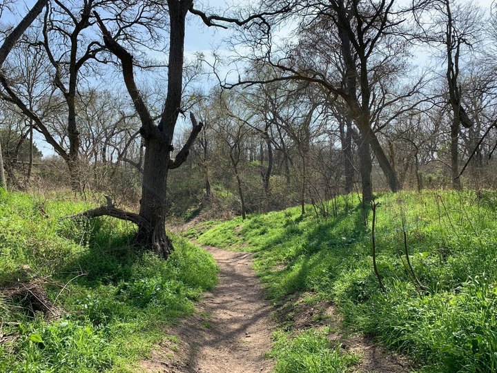 These 5 Austin Hiking Trails Lead To Some Incredible Pieces Of History