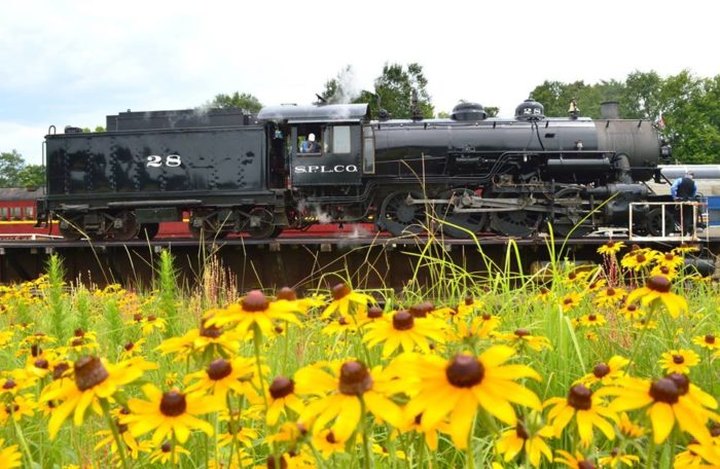 This 4-Hour Scenic Train Ride Showcases Everything We Love About Springtime In Texas