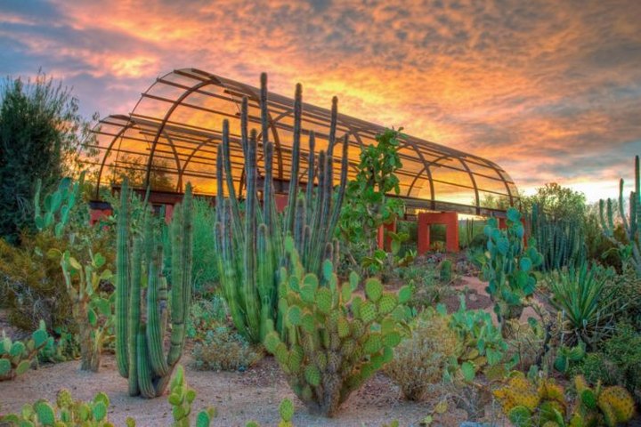 This Beautiful 140-Acre Botanical Garden In Arizona Is A Sight To Be Seen