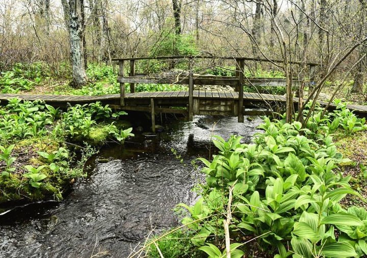 7 Out-Of-This-World Hikes In Rhode Island That Lead To Fairytale Footbridges
