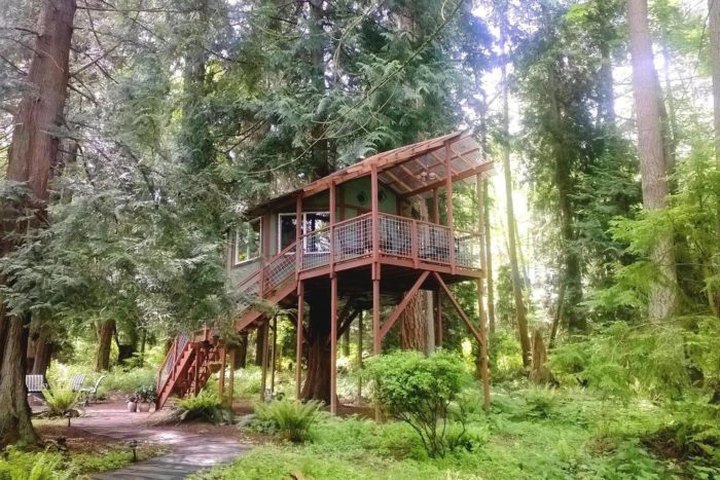 We Found 7 Spots To Sleep In The Trees In Washington This Summer