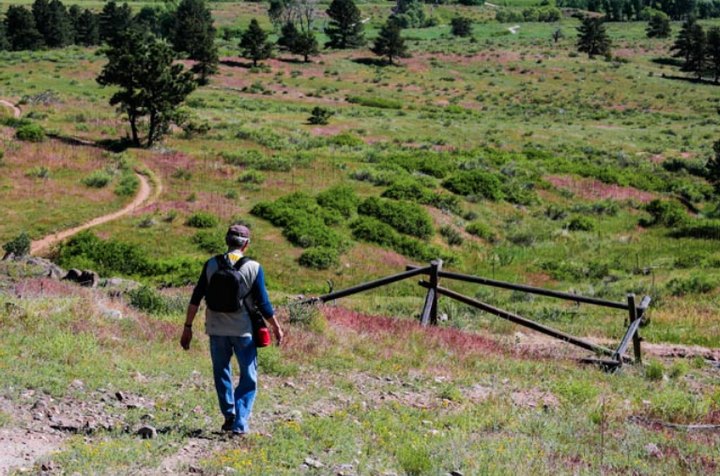 The Colorado Hike That Has Some Of The Best Wildlife Sightings In The Country