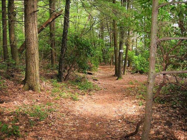 This Connecticut State Park And Forest With 30 Miles Of Trails Is A Hiker's Paradise