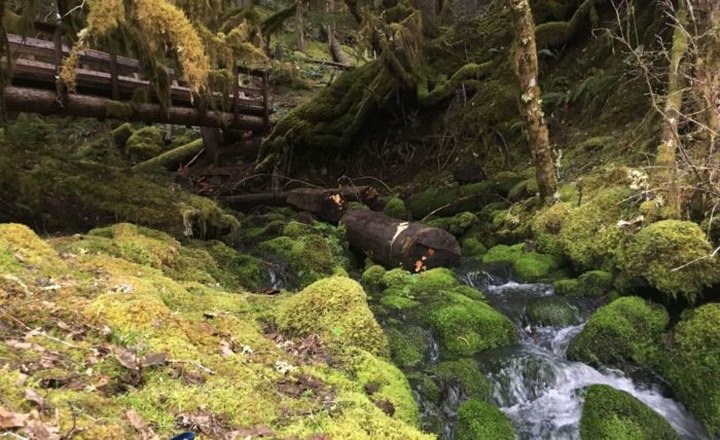 The Magical River Walk In Oregon That Will Transport You To Another World