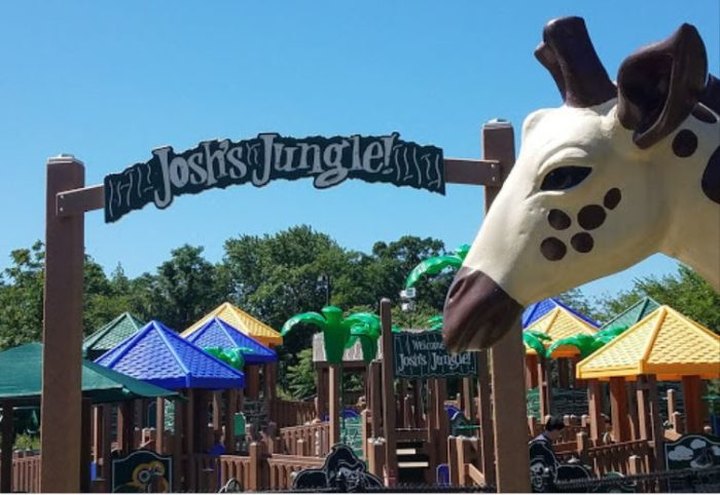 Your Kids Will Have A Roaring Good Time At This Jungle-Themed Playground In Connecticut