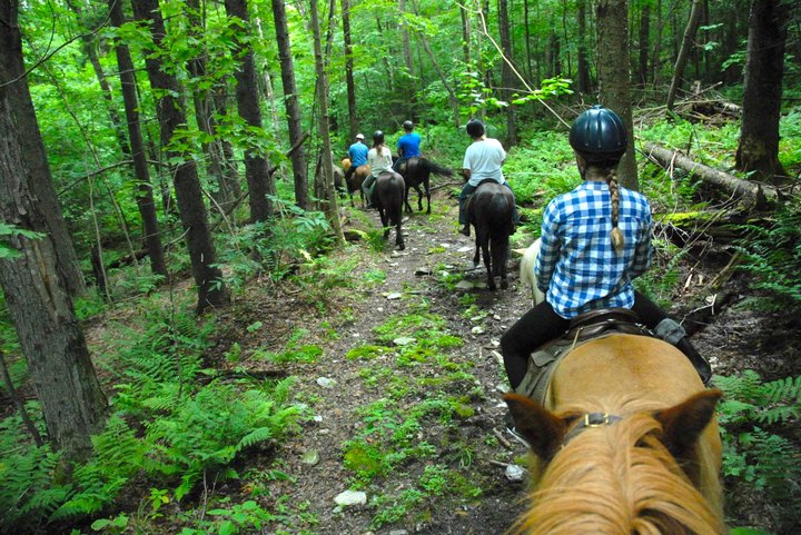 Go Hiking With Icelandic Horses In Vermont For An Adventure Unlike Any Other