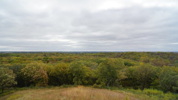 This Little-Known Scenic Overlook In Minnesota Will Take You High Above The Trees