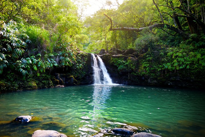 Hawaii's Most Refreshing Hike Will Lead You Straight To A Beautiful Swimming Hole