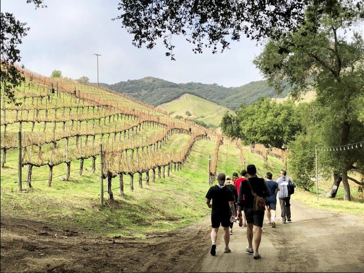 The One-Of-A-Kind Wine Hike In Southern  California That Makes For An Unforgettable Day Trip