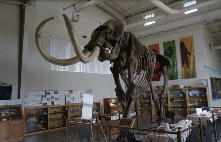 The Little-Known Fossil Center In Northern California Thats Perfect For A Family Day Trip