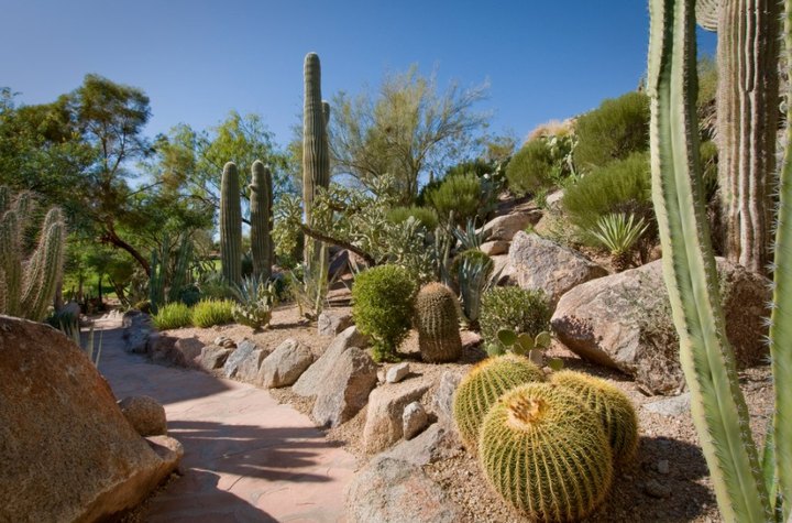 This Enchanting Arizona Garden Has Over 250 Types Of Cactus