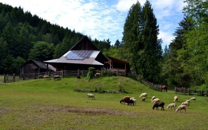 The Baby Lambs At This Oregon Farm Will Steal Your Heart, And You Can Stay All Weekend Long