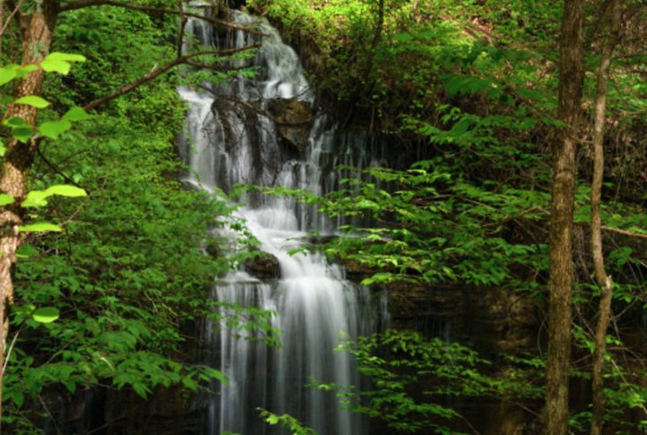 The Secret Waterfall In Alabama That Most People Don't Know About