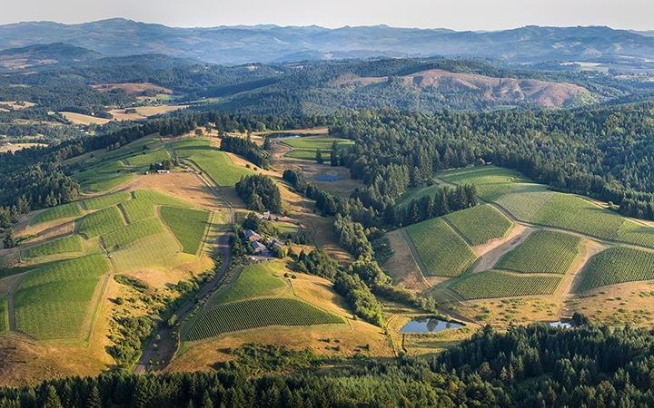 The One County In Oregon With Over 80 Award-Winning Wineries