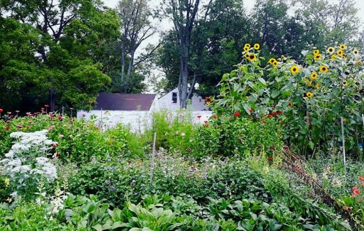 Pick Your Own Flowers At This Charming Farm Hiding In Detroit