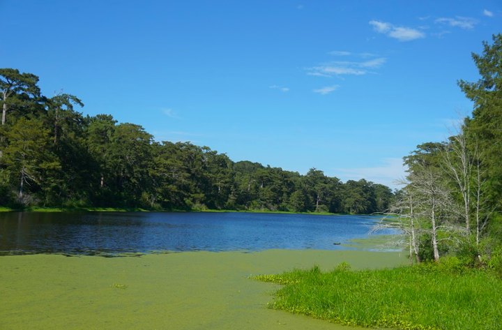 Visit These 8 Scenic National Wildlife Refuges in Louisiana When You Need A Break From It All