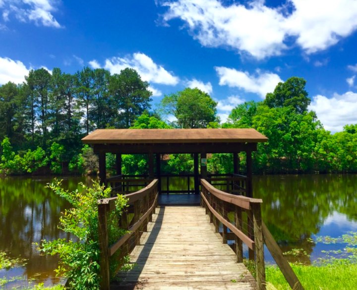 The One Park In Louisiana With A Hammock Village, Swinging Bridges, Fishing Ponds, And Trails Truly Has It All