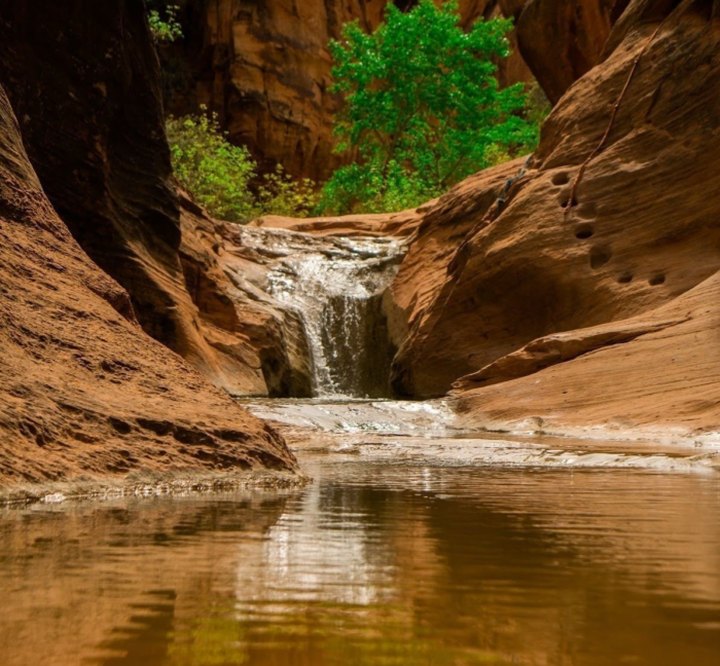 Utah's Most Refreshing Hike Will Lead You Straight To A Beautiful Swimming Hole