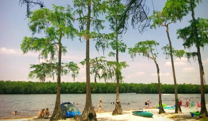 The Little Known Lake Beach In Mississippi That'll Be Your New Favorite Destination