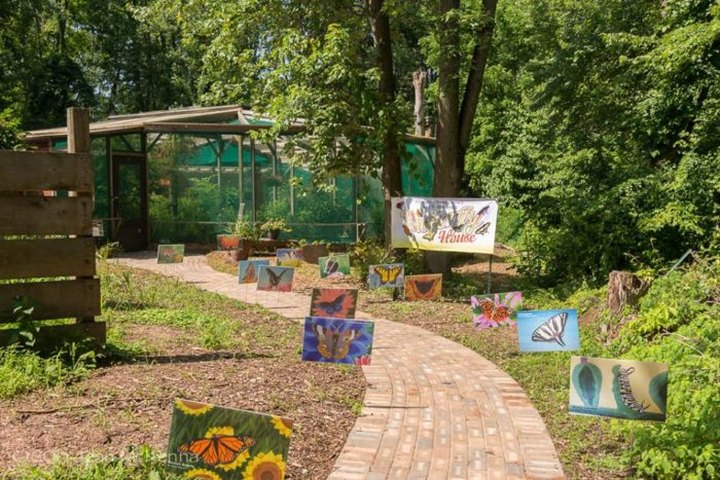 The Tiny Butterfly House In Pennsylvania Is A Magical Way To Spend An Afternoon