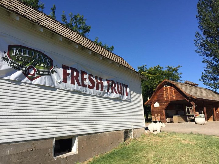 Spend A Summer Day Picking Cherries At This Lovely Little Farm In Idaho