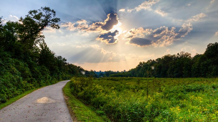These 8 Underrated Hiking Trails Near Nashville Are Begging For You To Explore Them