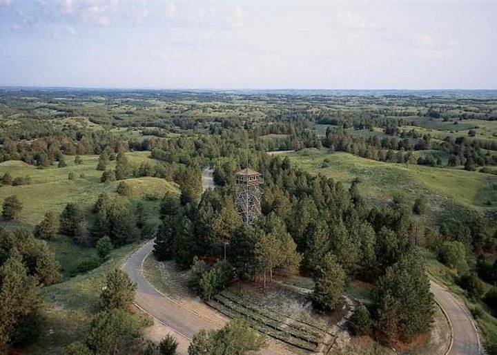 The Largest Man-Made Forest In The U.S. Is Nebraska National Forest And It's A Unique Place To Visit