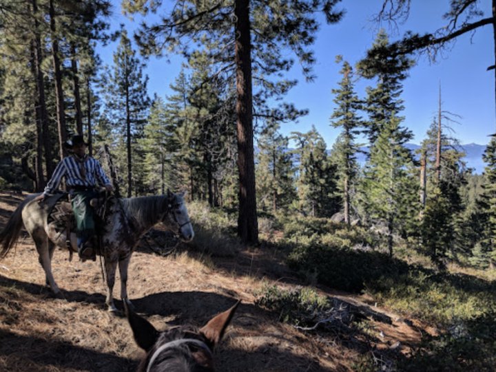 This Guided Horseback Trail Around A Nevada Lake Is The Scenic Adventure You Crave