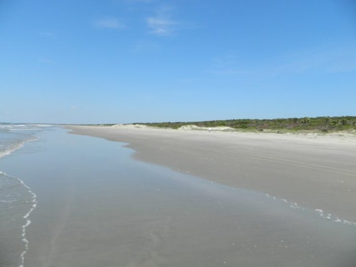This Little Known Beach In South Carolina Is Perfect For Finding Loads Of Sand Dollars