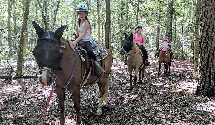 This Horseback Tour Takes You Through An Enchanting Forest In Maryland