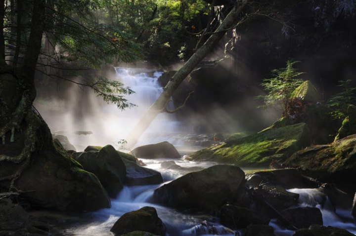 The Hike To This Pretty Little Alabama Waterfall Is Short And Sweet