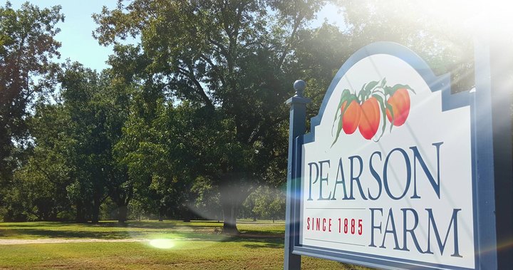 Pearson Farm In Georgia Has Been Growing Sweet Fruits For Over 130 Years