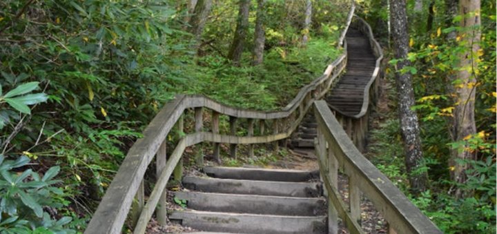Hike This Stairway To Nowhere In North Carolina For A Magical Woodland Adventure