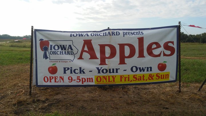 This One-Of-A-Kind Fruit Farm In Iowa Serves Up Fresh Homemade Pie To Die For