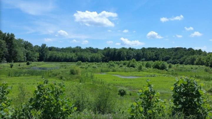 This Historic Wildlife Refuge In Indiana Contains Nearly 8,000 Acres Of Natural Wonders