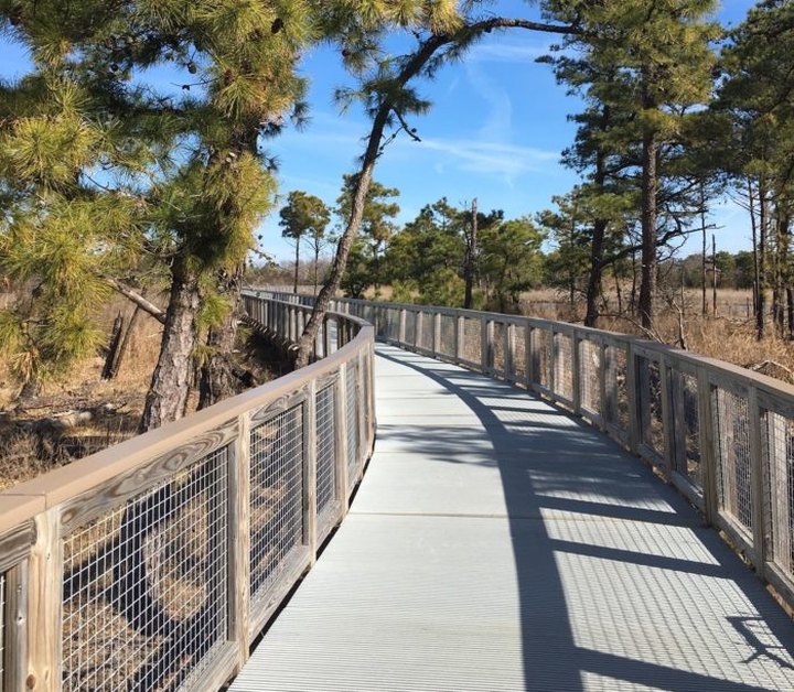 The Gordon's Pond Trail Boardwalk Hike In Delaware  Leads To Incredibly Scenic Views