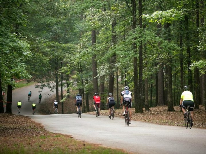 Lincoln Parish Park Has One Of The Top Biking Trails In The Country