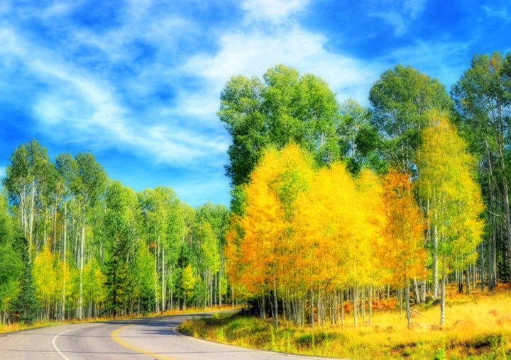 Here's When Fall Foliage Will Peak This Year In Arizona And The Best Places To See It