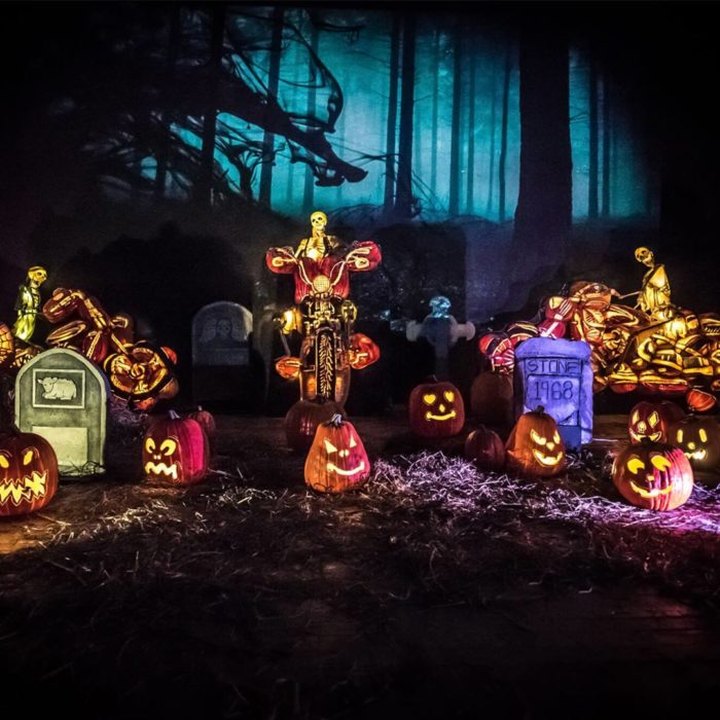 Hike Through A Jack-O-Lantern Lit Enchanted Forest At Jack's Pumpkin Glow In Tennessee