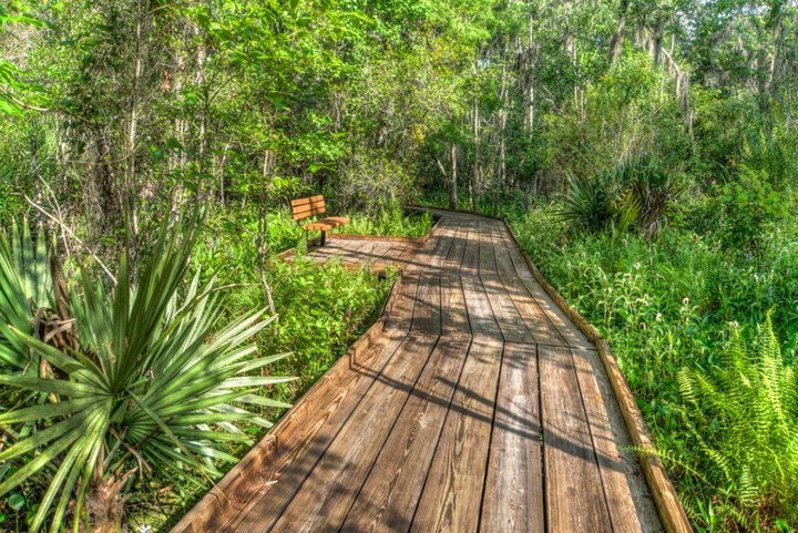 You'll Love The Endless Maze Of Boardwalk Trails At Barataria Preserve In Louisiana