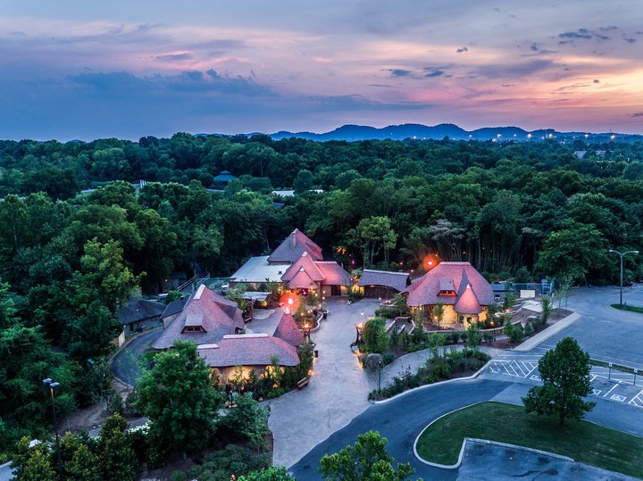 Spend The Night At The Nashville Zoo For An Evening Of Wild Fun