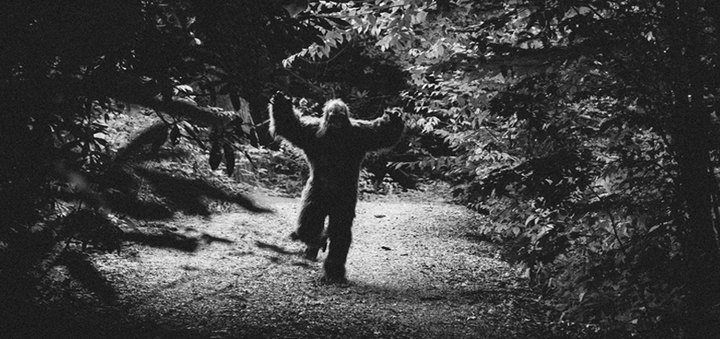There’s A Bigfoot Festival Happening In South Carolina And It's A Family Affair