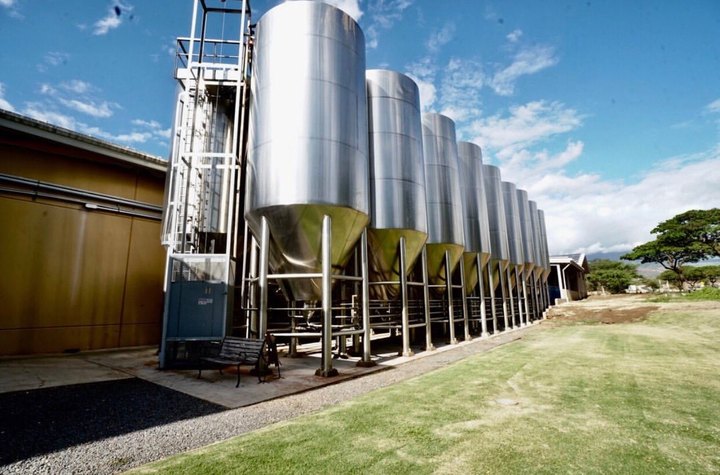 The Largest Craft Brewery In Hawaii Is Maui Brewing Company And Their Tours Are Phenomenal